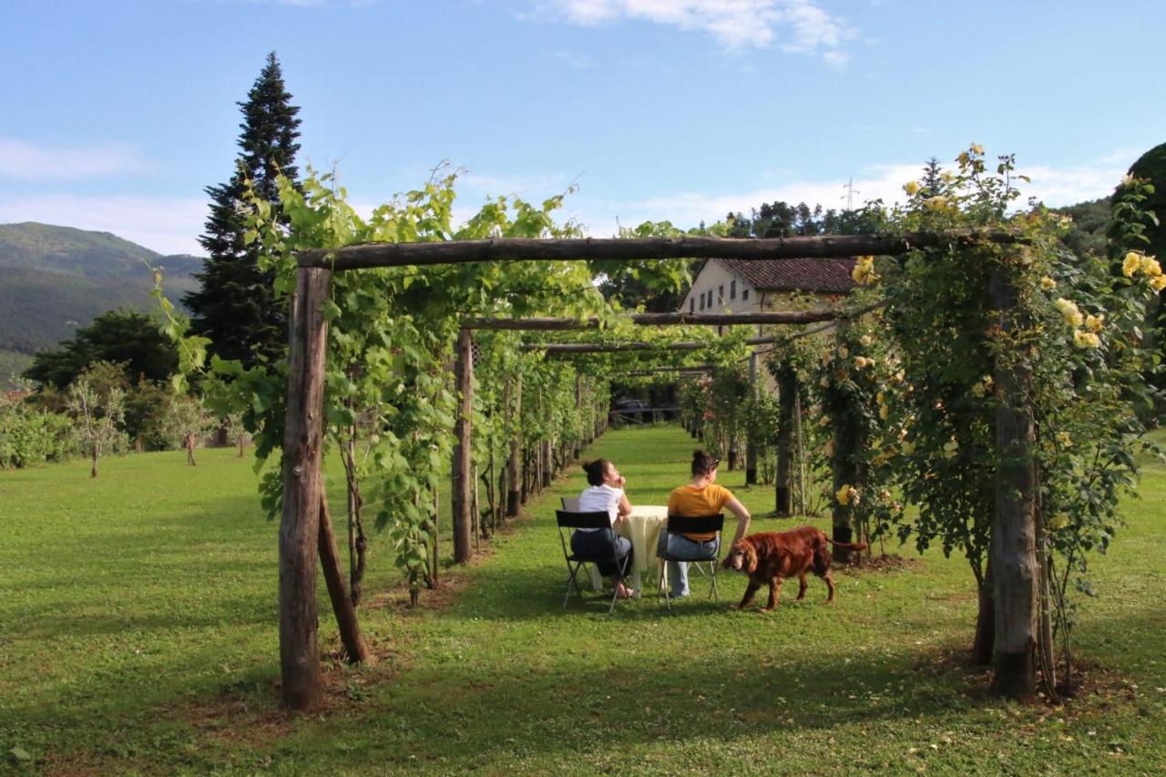 Casa Gaia Vendégház Lucca Kültér fotó