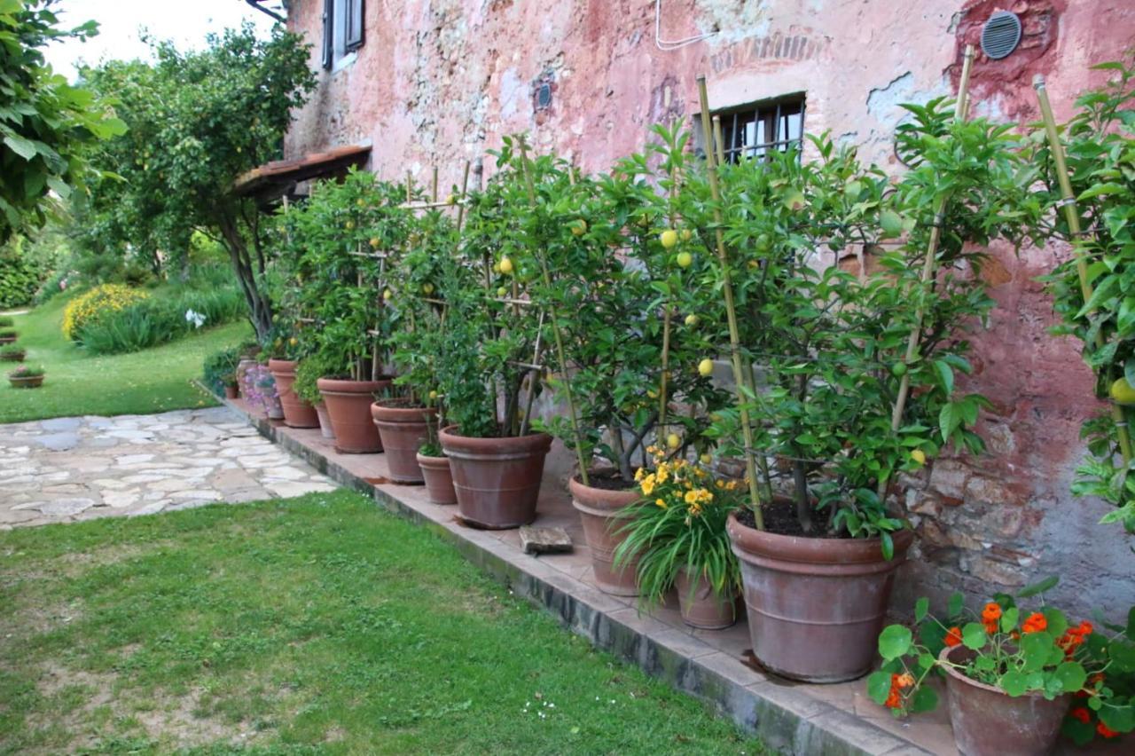 Casa Gaia Vendégház Lucca Kültér fotó